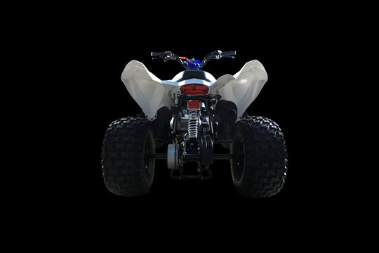 Polaris Outlaw 110 EFI
