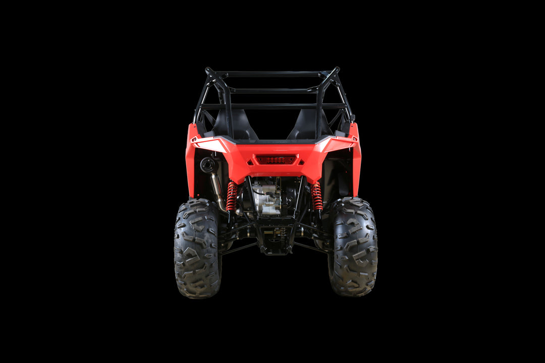 Polaris RZR 200