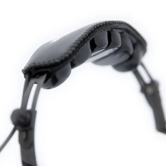 AlphaBass Carbon Fiber Headset for STEREO and OFFROAD Intercoms 1039374006171 - Topspeed